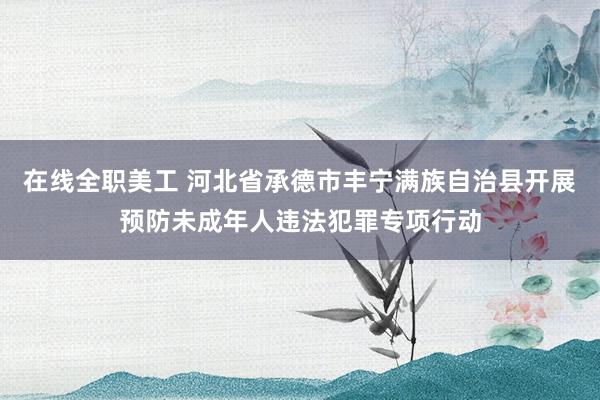 在线全职美工 河北省承德市丰宁满族自治县开展预防未成年人违法犯罪专项行动